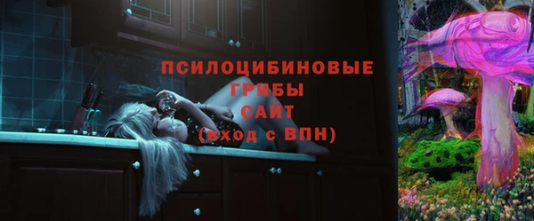 сатива Алексеевка