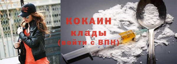 твердый Заполярный