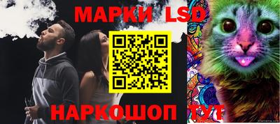 молекула духа Можга