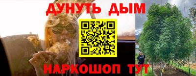 молекула духа Можга