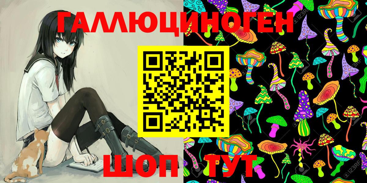 купить   Вход с VPN  Большой Камень  Псилоцибиновые грибы GOLDEN TEACHER 