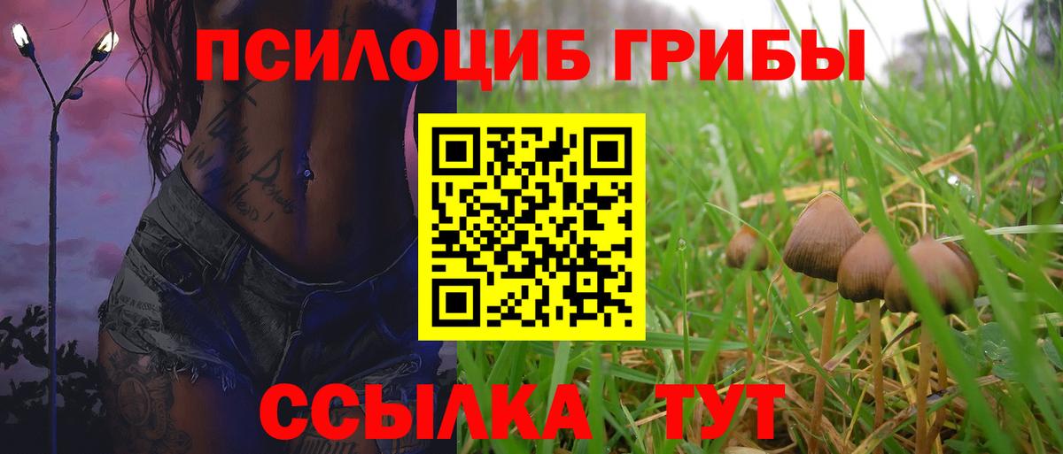 Псилоцибиновые грибы Psilocybine cubensis Большой Камень