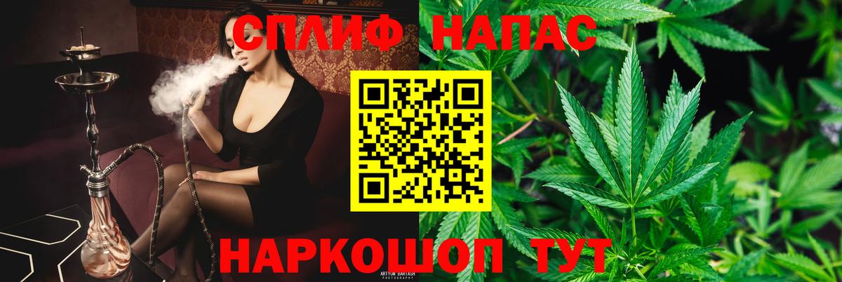 Канабис планчик Большой Камень